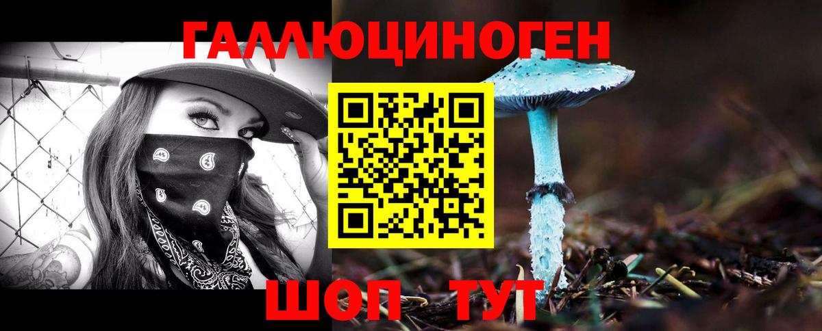 Галлюциногенные грибы прущие грибы  Аргун  Псилоцибиновые грибы MAGIC MUSHROOMS 