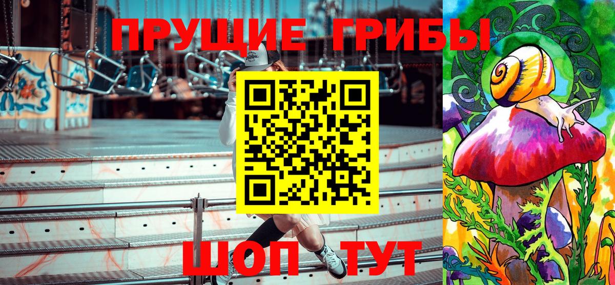 Аргун  Галлюциногенные грибы MAGIC MUSHROOMS  Псилоцибиновые грибы MAGIC MUSHROOMS  Вход с VPN 