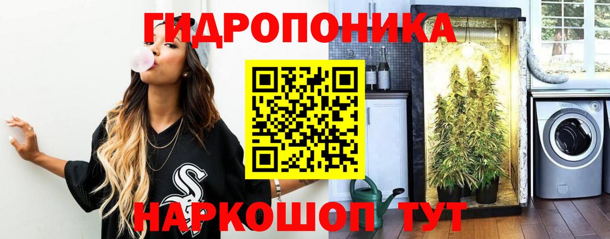 Бошки Шишки тримм Аргун