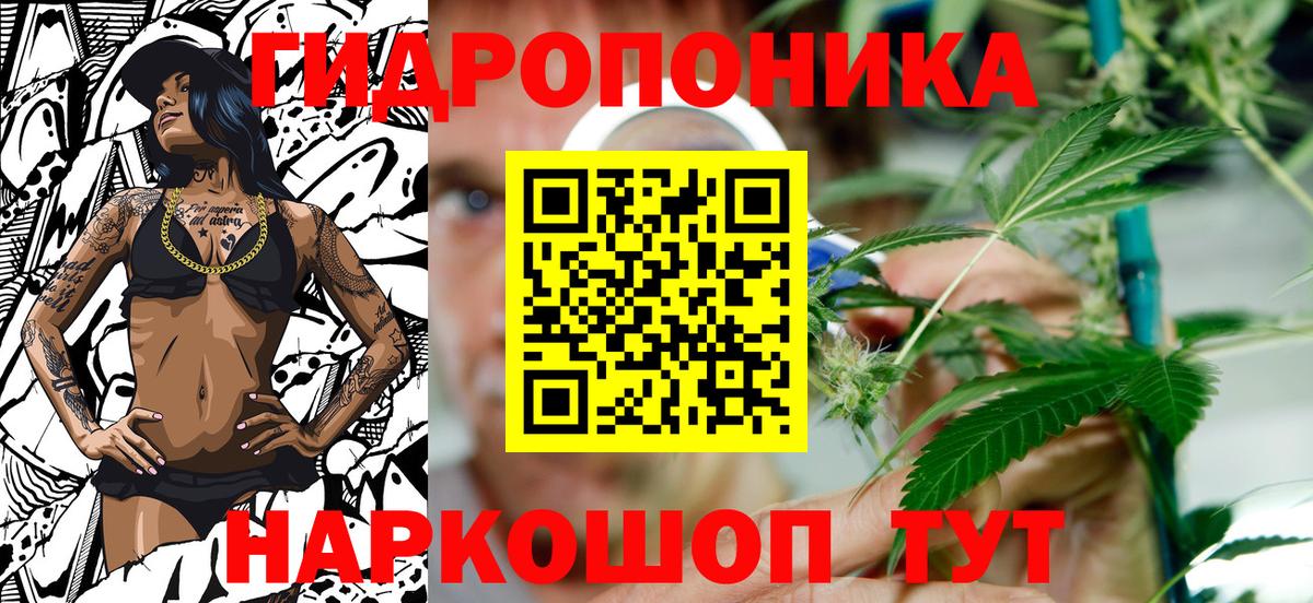 Шишки марихуана Amnesia  Шишки марихуана конопля  Шишки марихуана индика  Вход с VPN  Аргун 